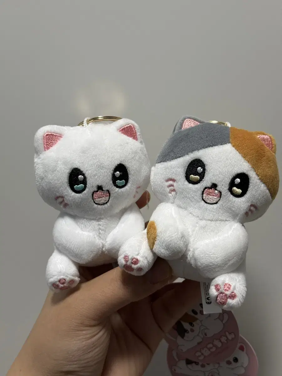 코네코짱 고양이 키링인형8cm