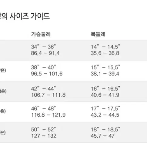 폴로랄프로렌 청남방