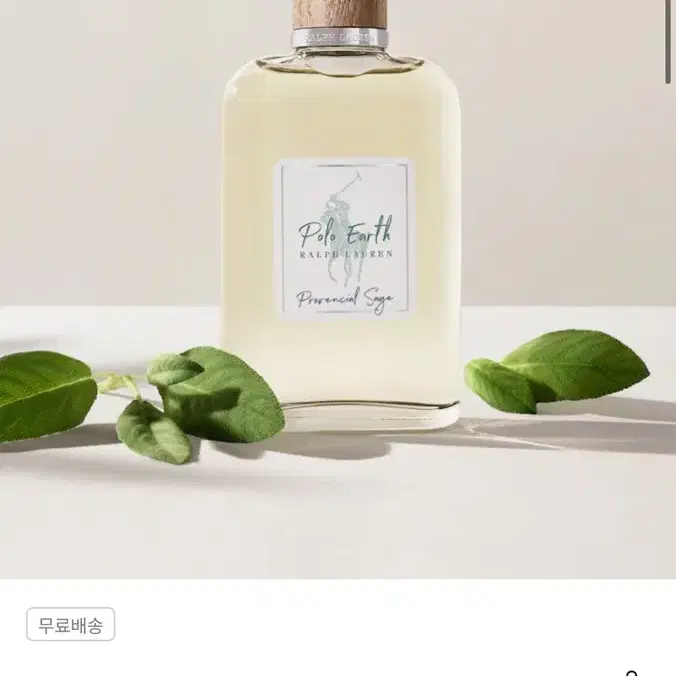 폴로 랄프로렌 어스 프로빈셜 세이지100ml 새상품