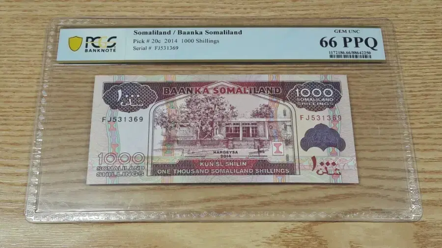 2014년 소말릴란드 1000실링 PCGS 66PPQ 최고등급 화폐