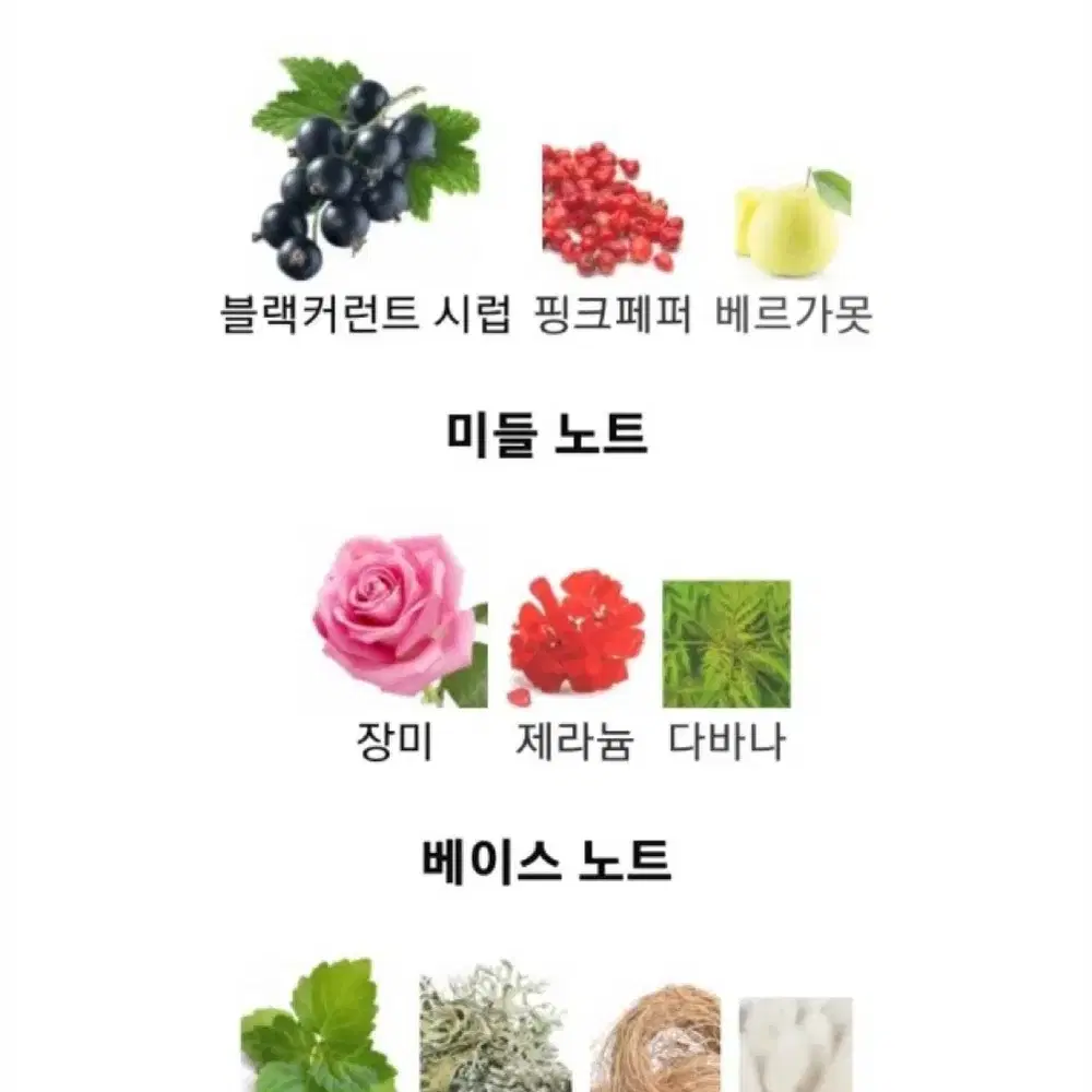 메종마르지엘라 온 어 데이트 향수 (100ml) 판매합니다