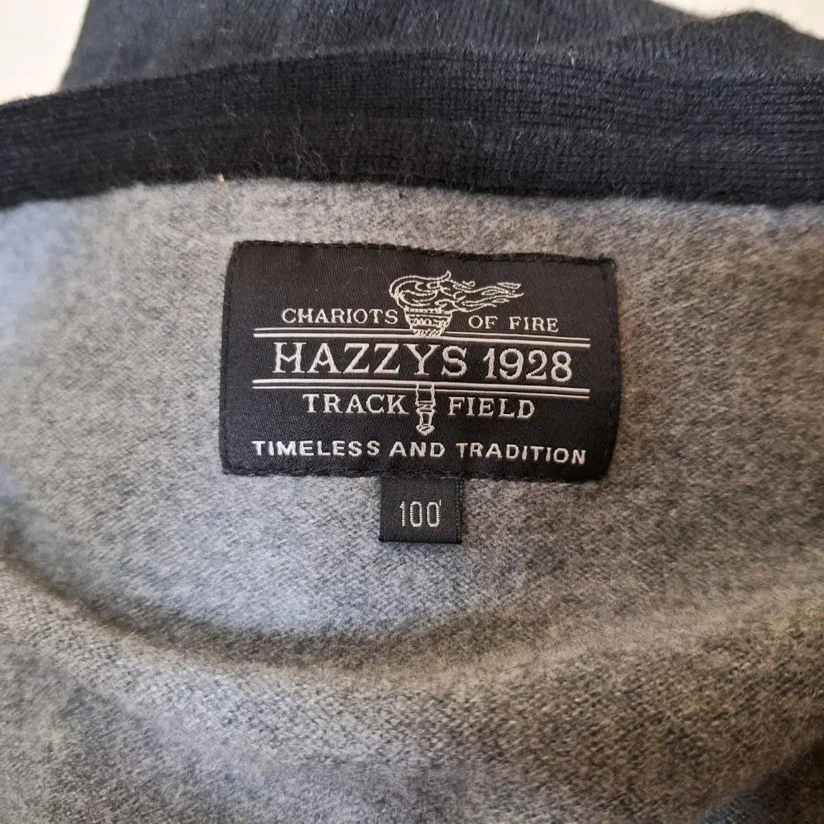 # HAZZYS(100)