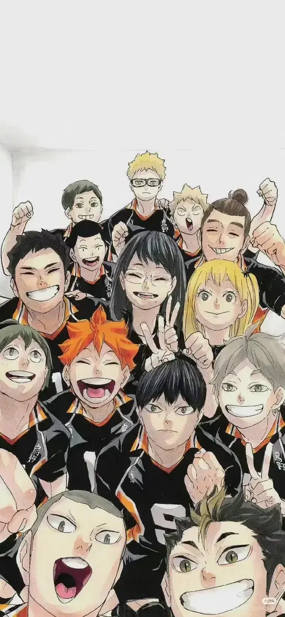 Haikyuu Karasuno Inarizaki postcard bulk Sells