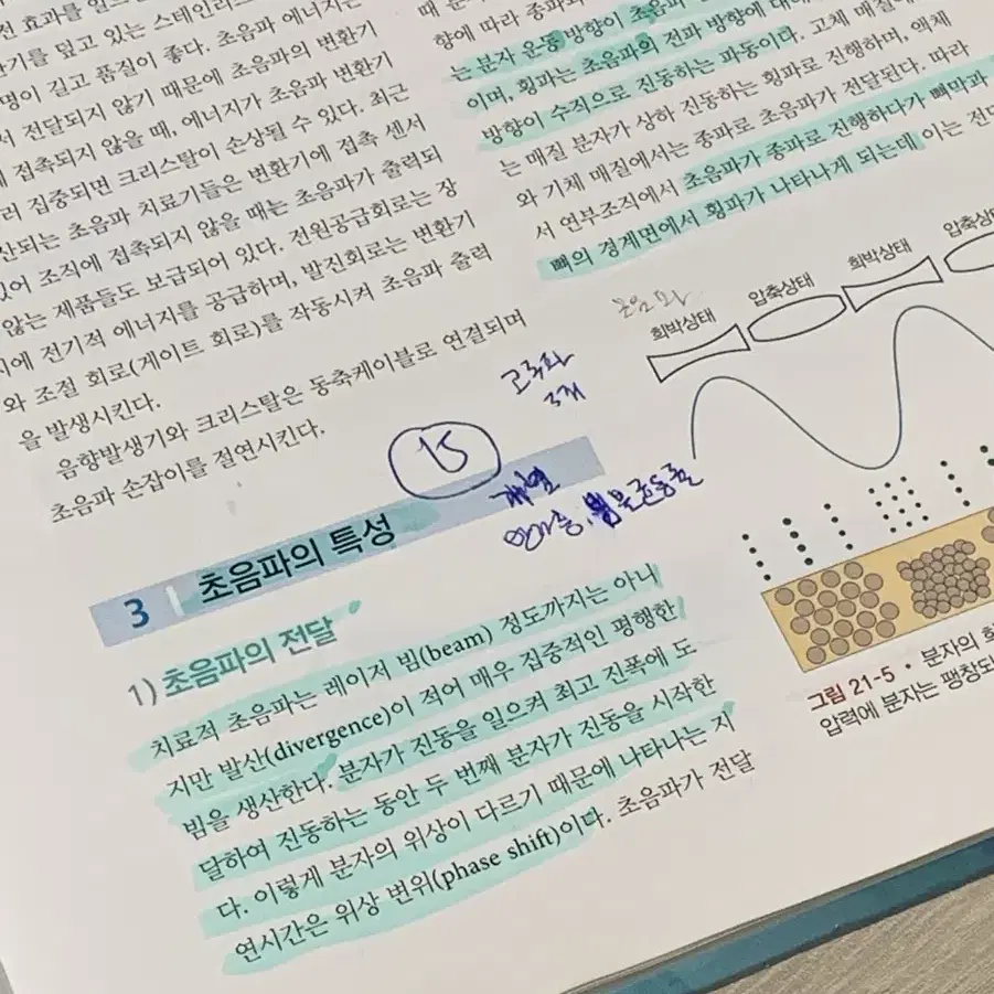 물리치료학과 책