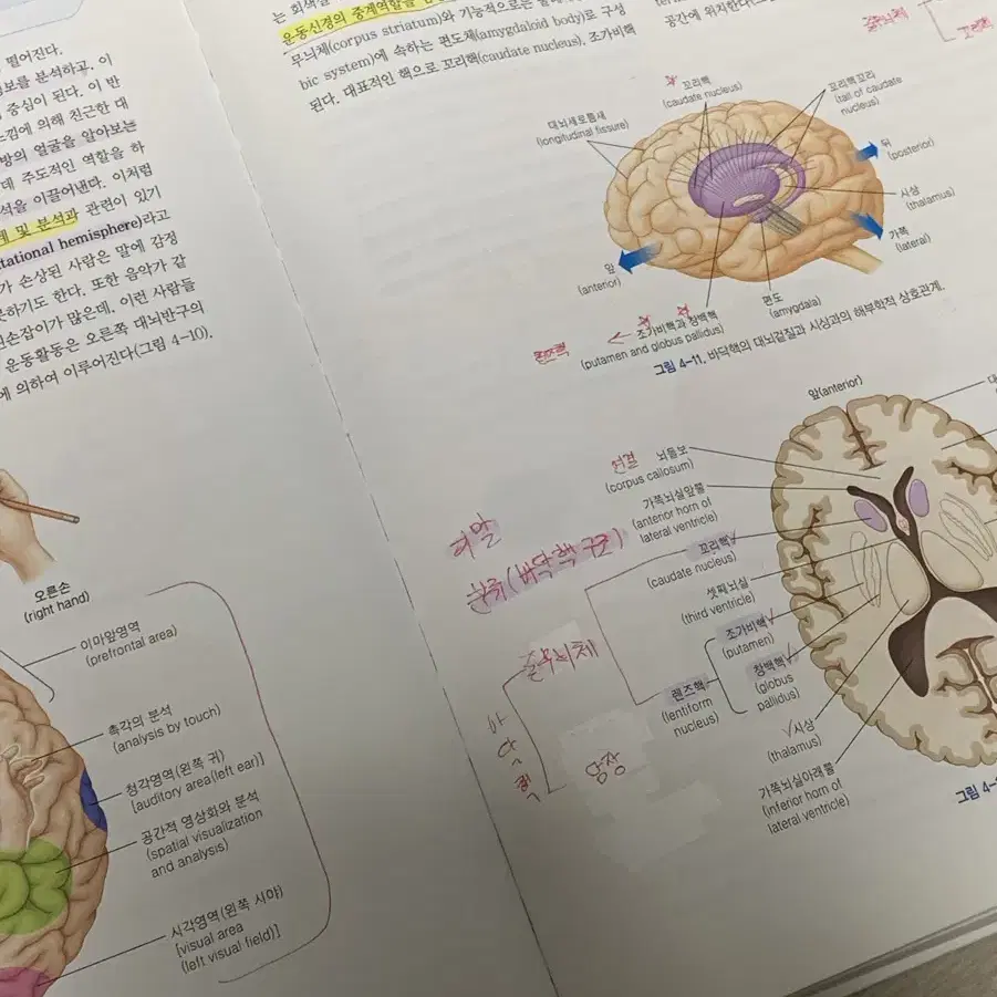 물리치료학과 책