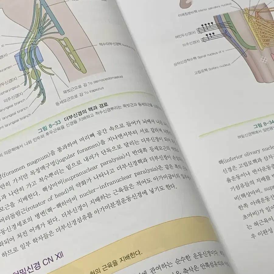 물리치료학과 책