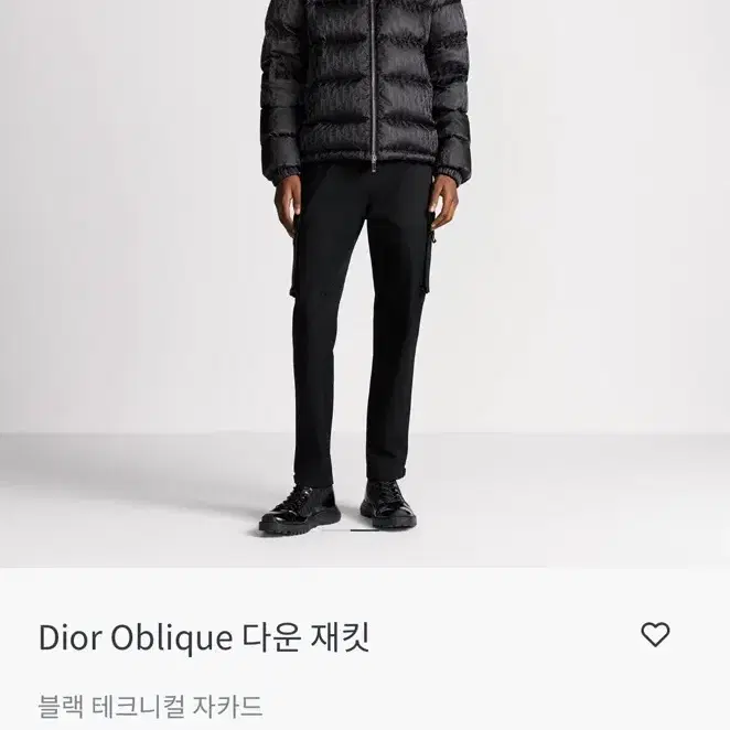 디올 오블리크 다운 자켓 구스 패딩 50 !!오늘 산 새상품!! 루이비통