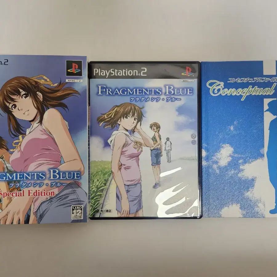 플스 2Ps2 Fragments Blue (플레그 먼츠 블루스페셜 에디션