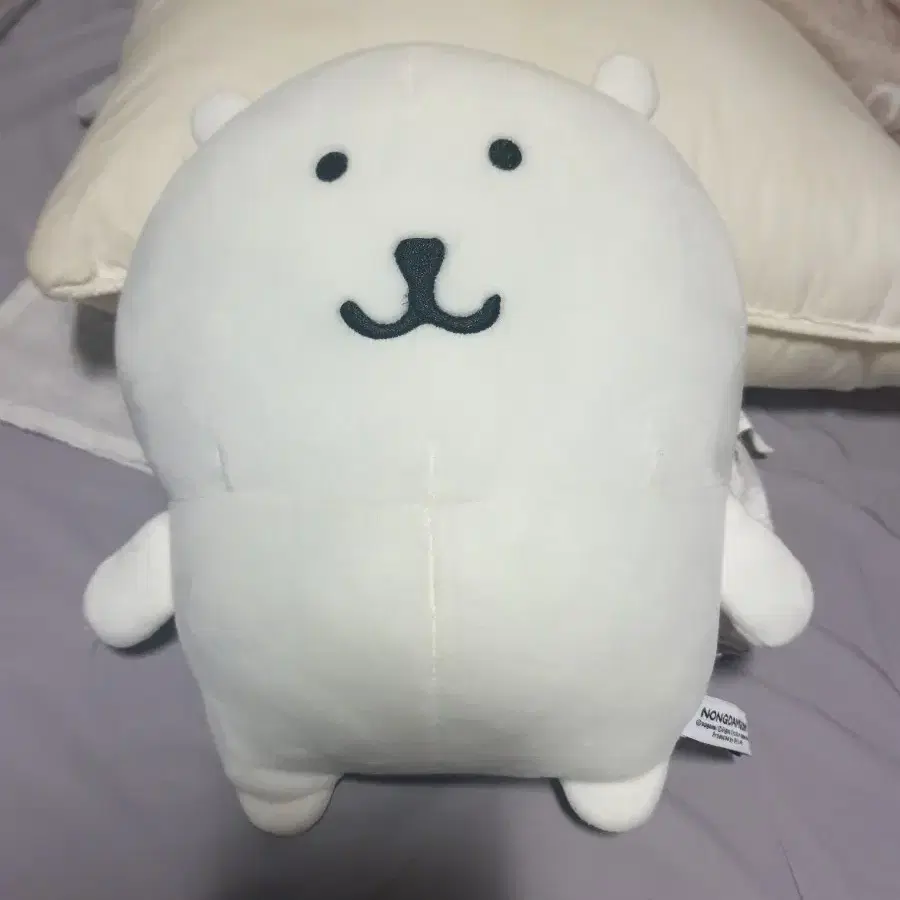 농담곰 비플랏 기본곰 (택x)