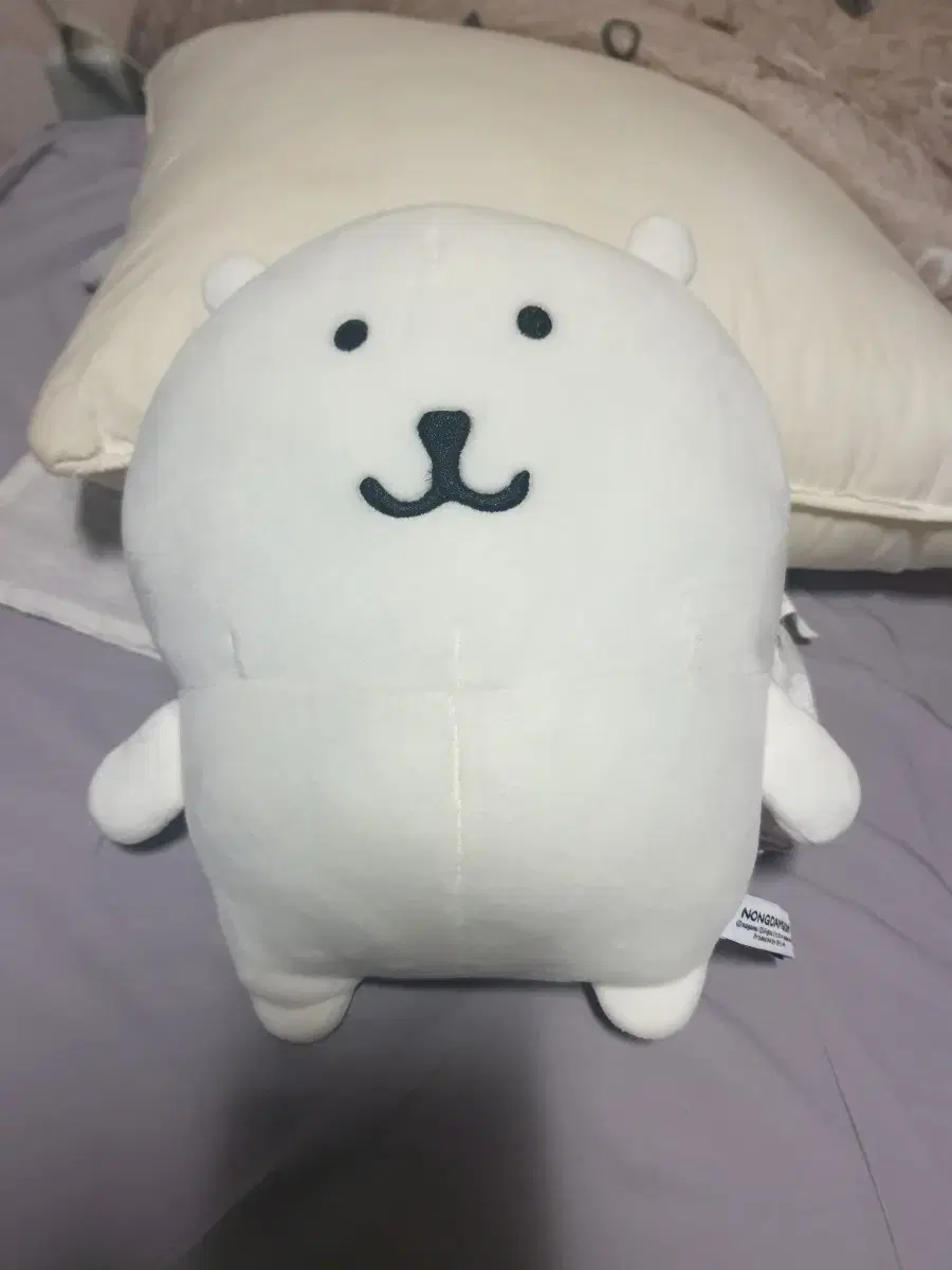 농담곰 비플랏 기본곰 (택x)