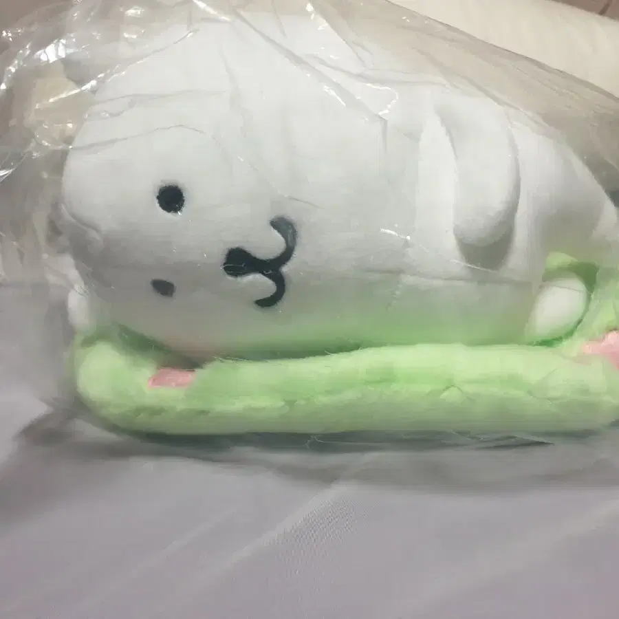 농담곰 비플랏 누운제습담곰 (택o)