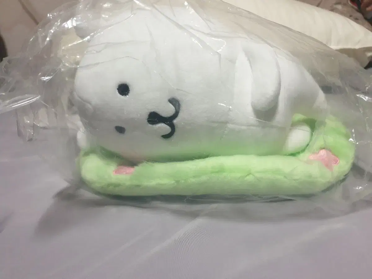 농담곰 비플랏 누운제습담곰 (택o)