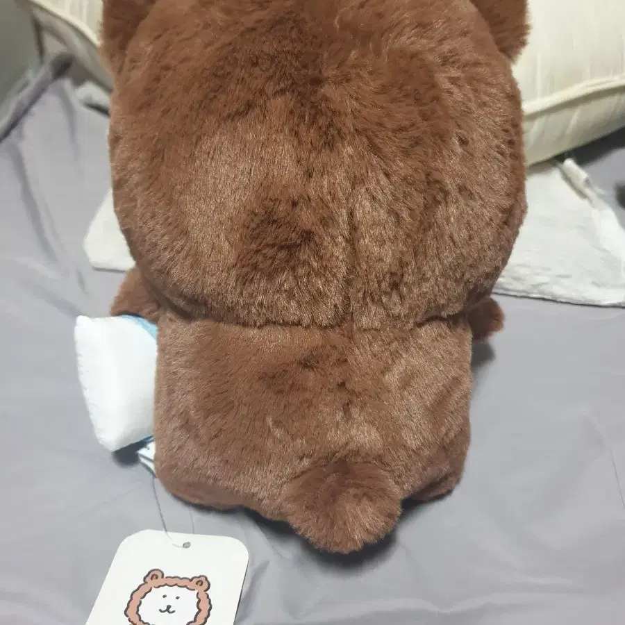 농담곰 비플랏 갈색 베개곰 (택o)