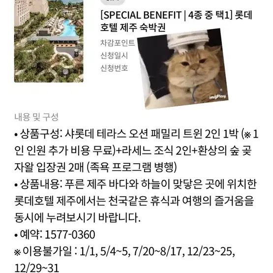 롯데호텔 제주 1박 12월 26-28일만 이용가능