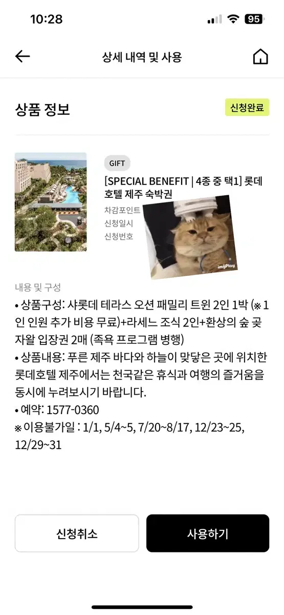 롯데호텔 제주 1박 12월 26-28일만 이용가능