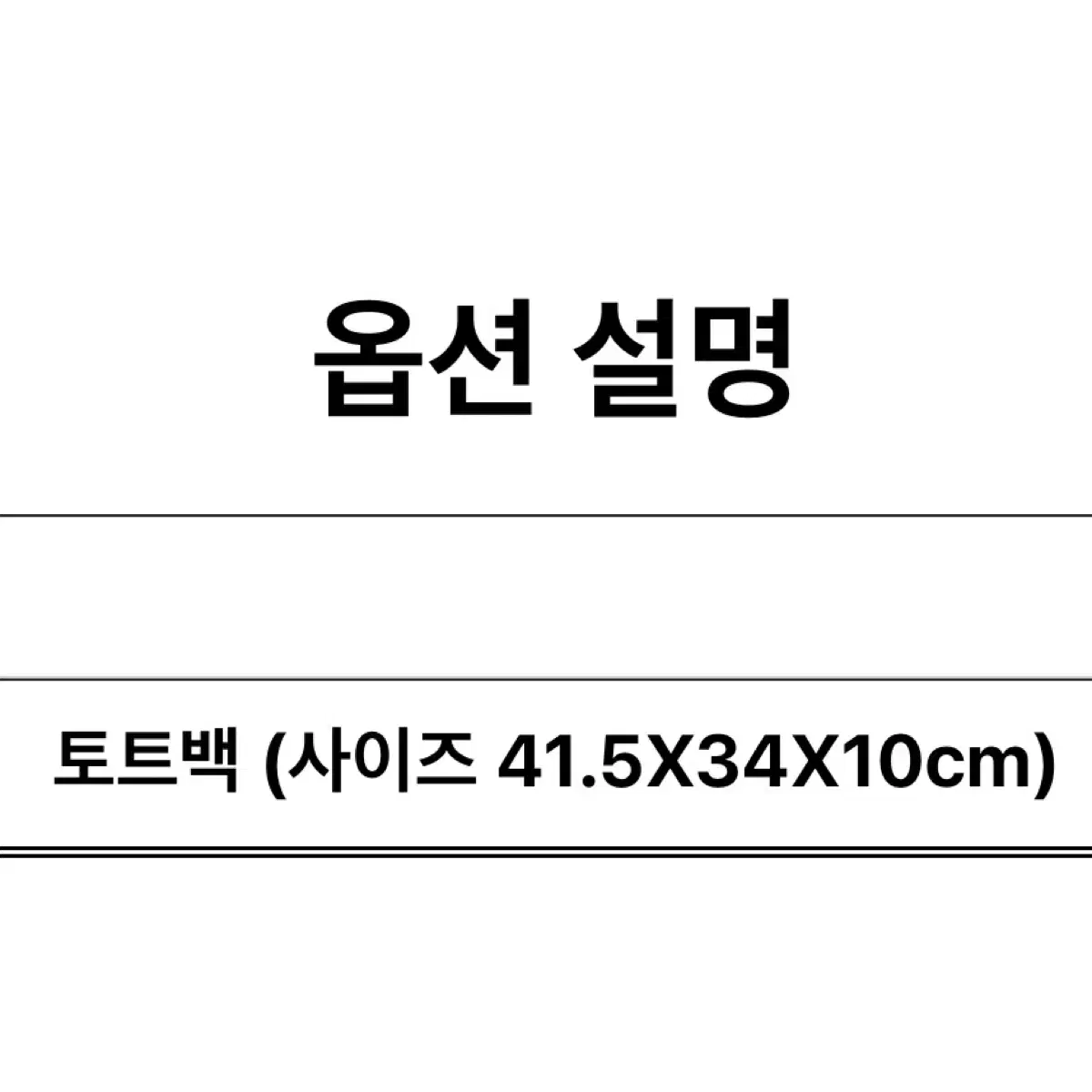 스타벅스 토트백 새상품