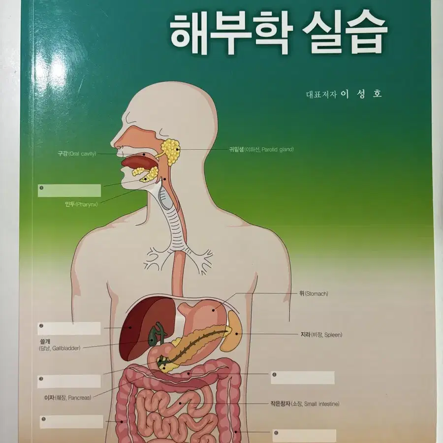 간호학과 1학년 교과서