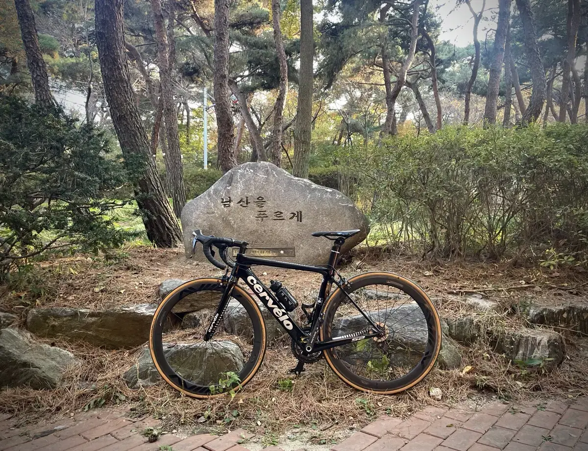 써벨로 S2 CERVELO 급처