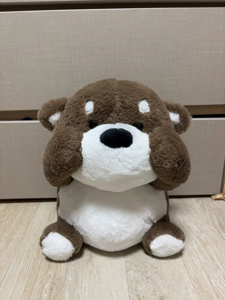 (NEW) Medium to Large Teddy Bear Dolls