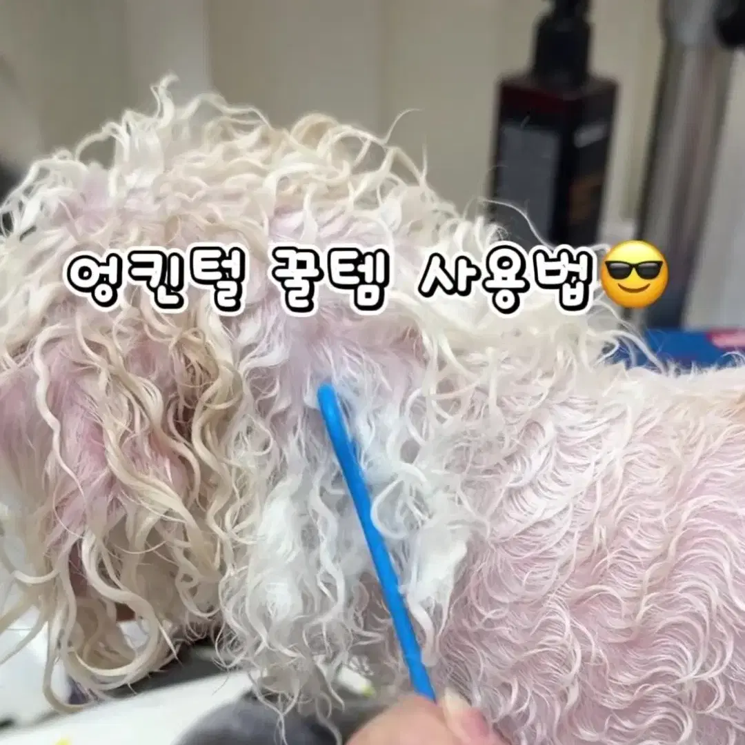 새상품)애견미용 강아지 엉킨털 죽은털 제거