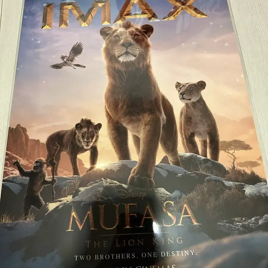 무파사 라이언킹 아이맥스 imax 포스터