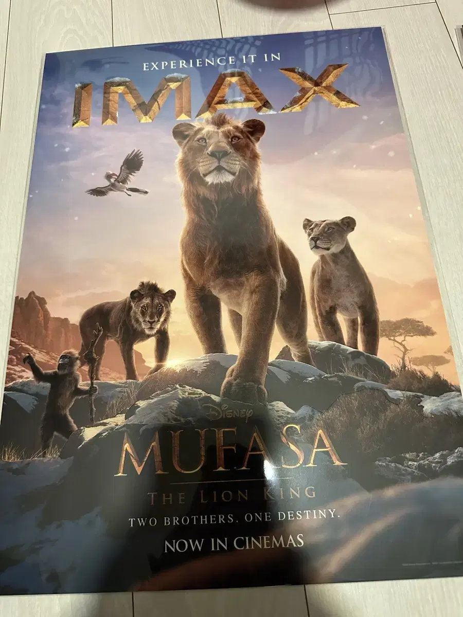 무파사 라이언킹 아이맥스 imax 포스터