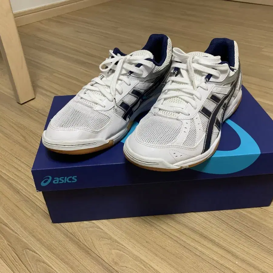 ASICS 아식스 로테 리브레 FL5 (285)