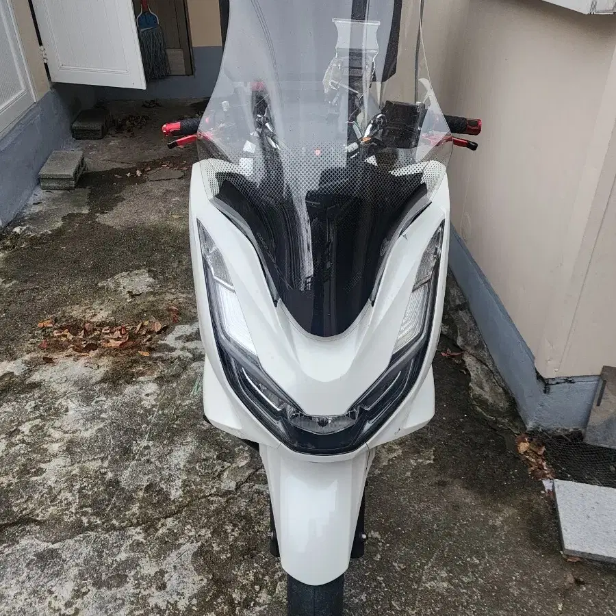 pcx123 23년식