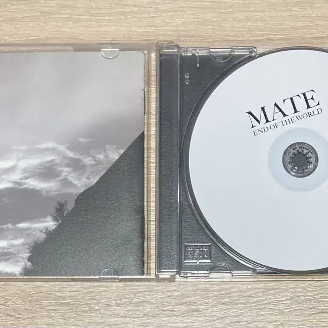 메이트 (Mate) - End Of The World CD 판매