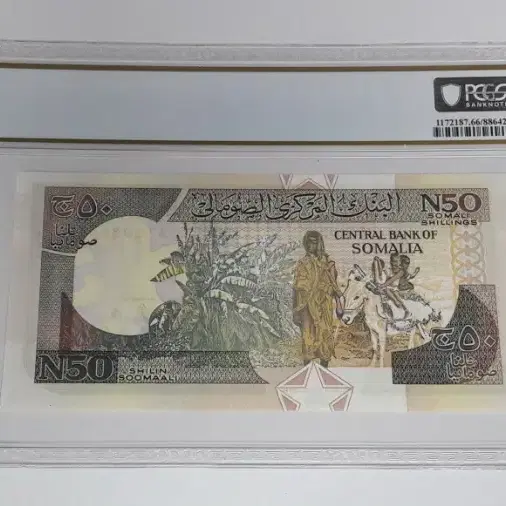 1991년 소말리아 50실링 PCGS 66PPQ 미사용 최고등급 화폐