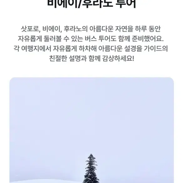 삿포로 1/15~18(3박4일,2인 일괄) 이틀간만 판매