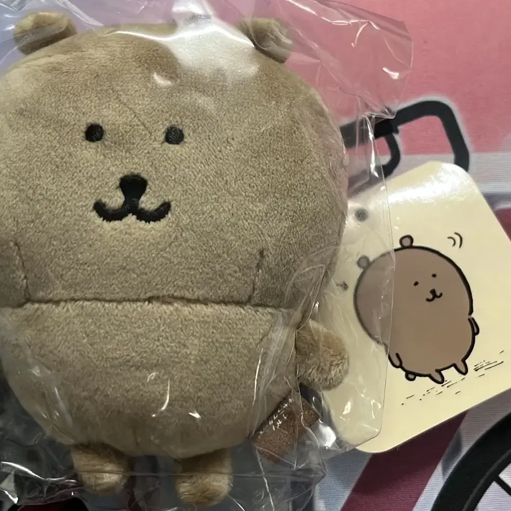 나가노 태닝곰 농담곰 탄곰