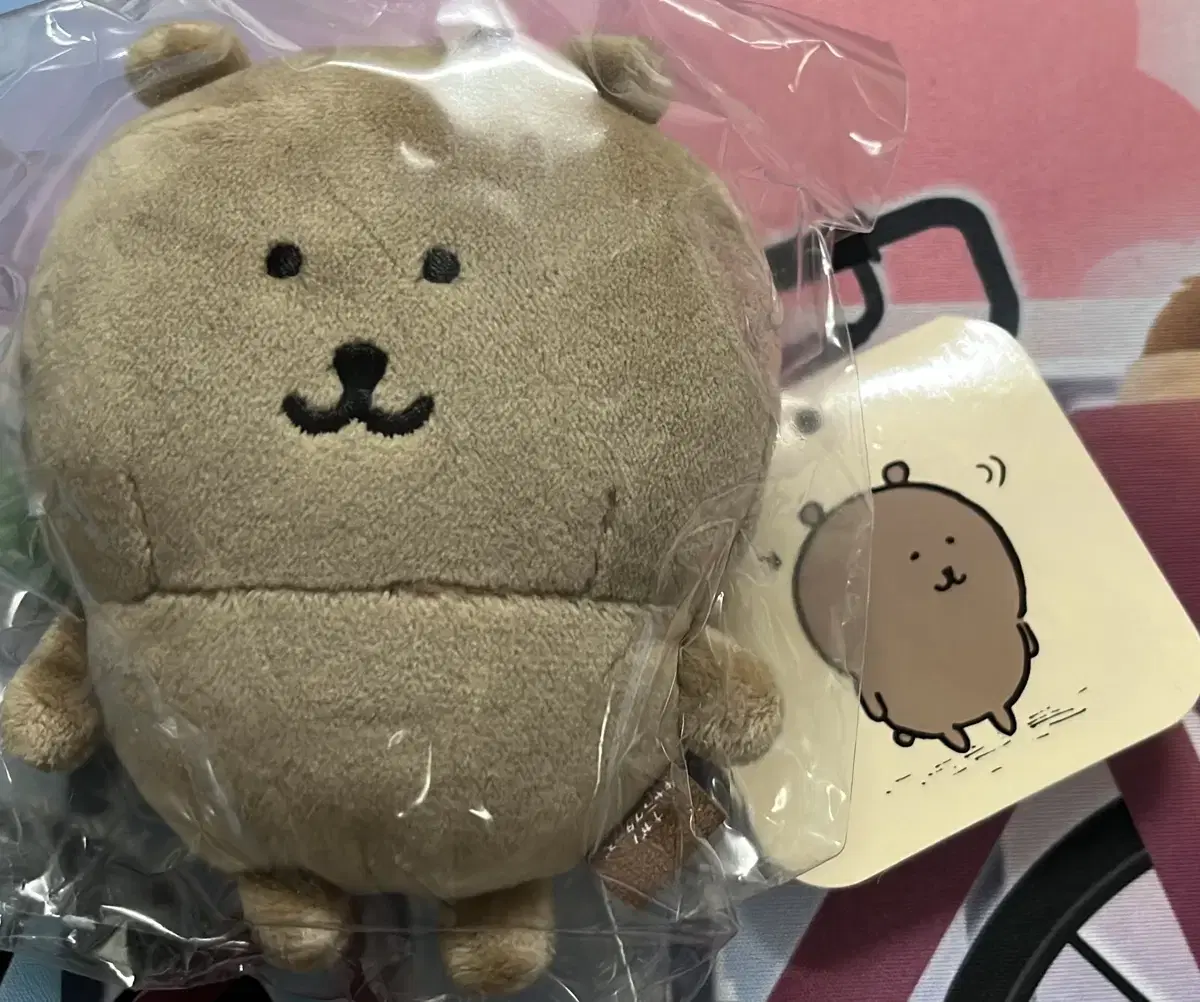 나가노 태닝곰 농담곰 탄곰