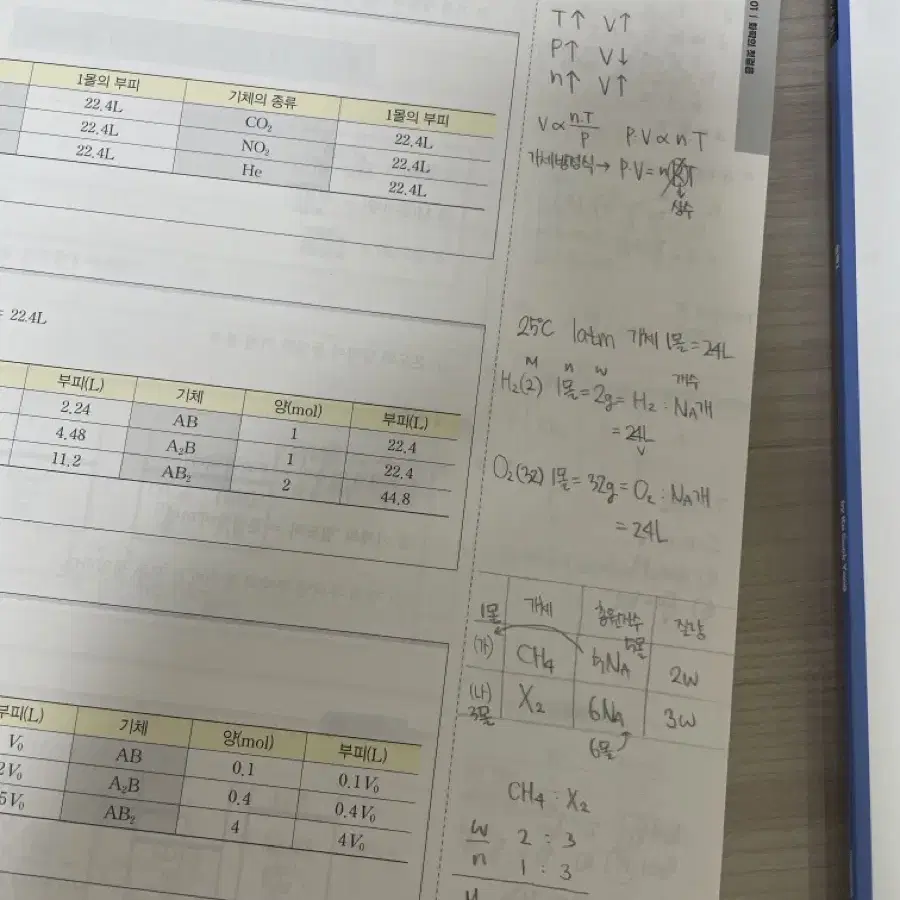 고석용 2025 베테랑의 개념완성