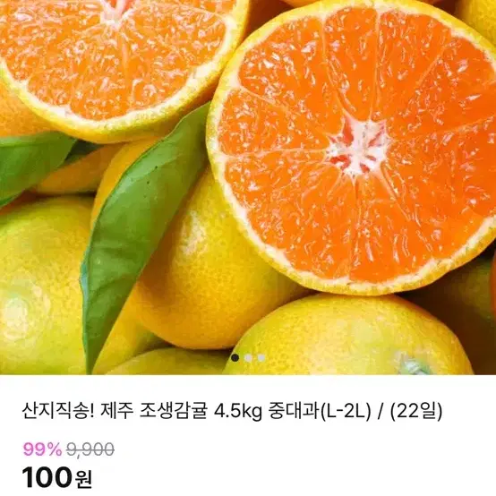 지그재그 귤 100원