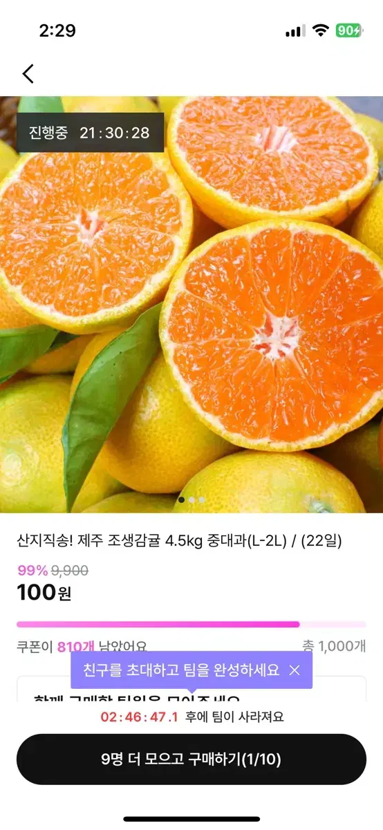 지그재그 귤 100원