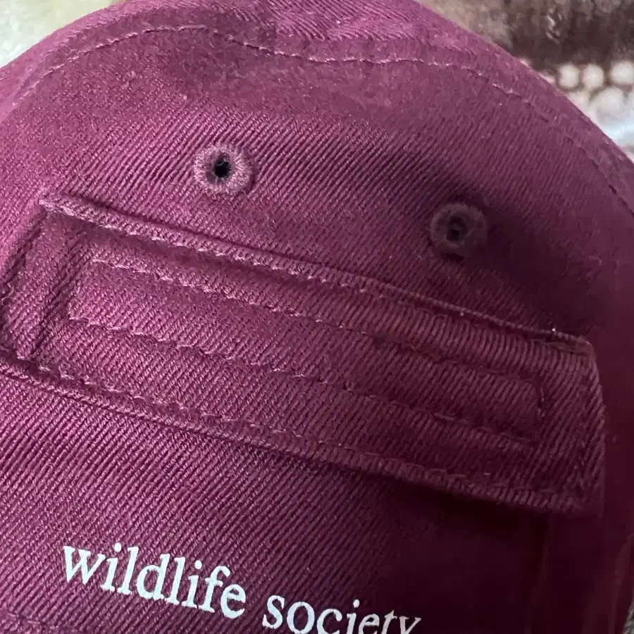 슈프림 wildlife society 포켓 캡