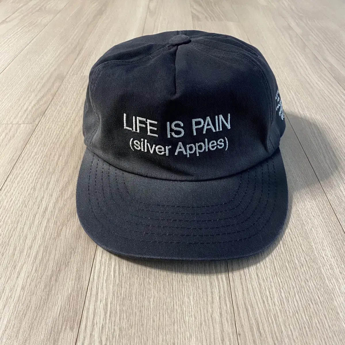 도넛리벤지 LIFE IS PAIN-CAP 모자