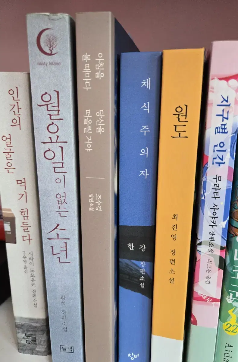 채식주의자 지구별 인간 인간의 얼굴은 먹기 힘들다 원도 등등 소설책 판매