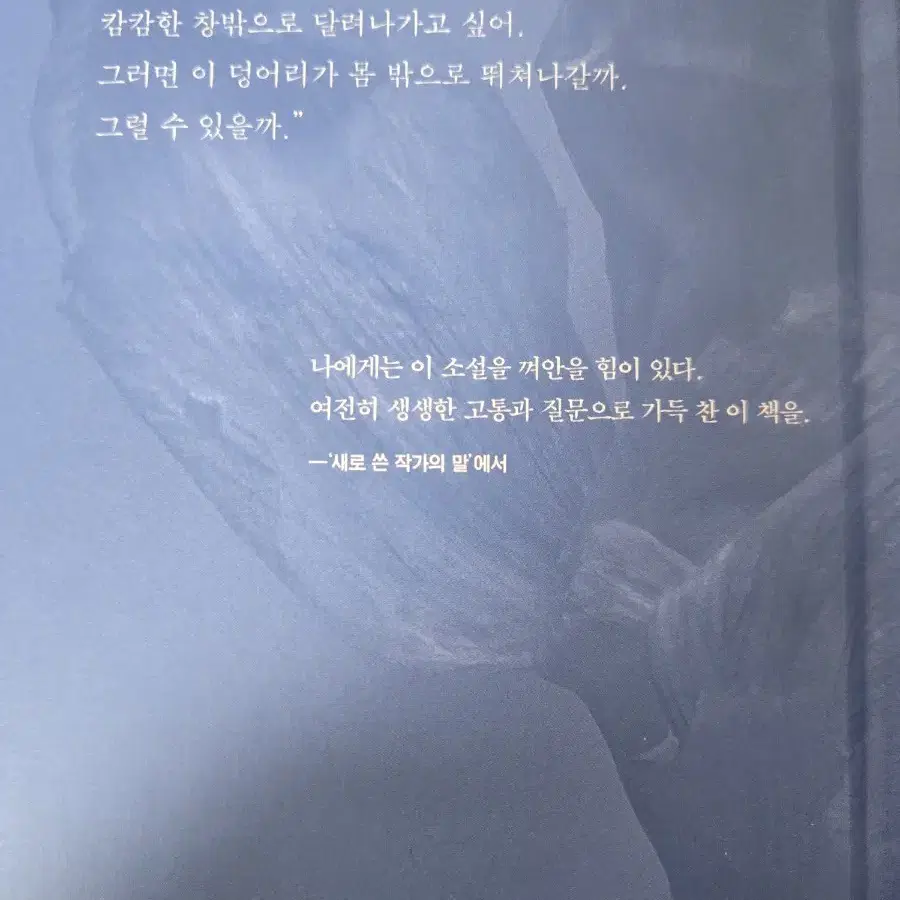 채식주의자 지구별 인간 인간의 얼굴은 먹기 힘들다 원도 등등 소설책 판매