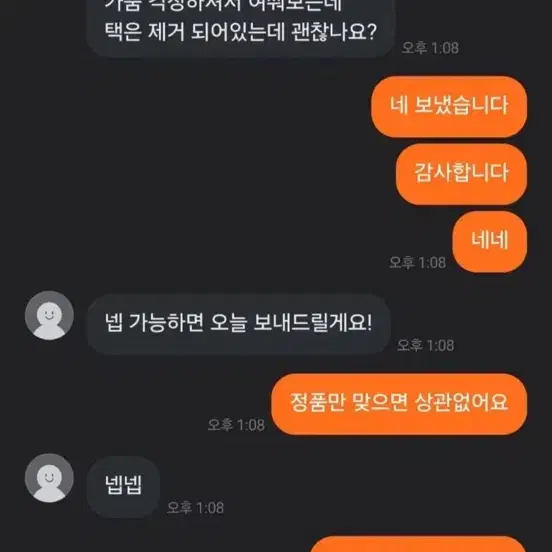 파타고니아 신칠라 xl 1회착