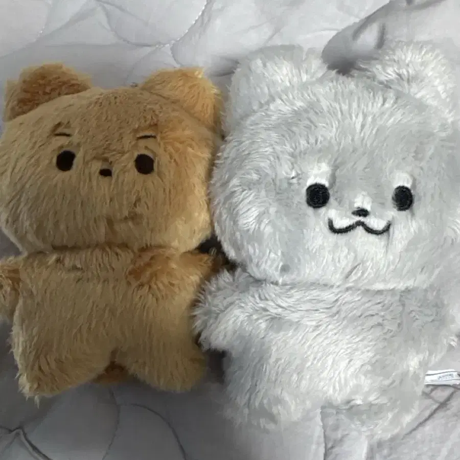 달곰이 쥬냥이 양도합니다!