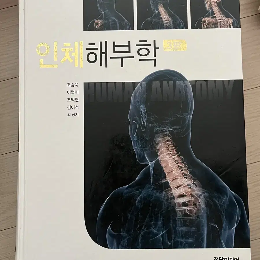 인체해부학 물리 작업치료 책 (재활)