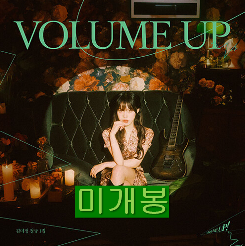 김미정 - Volume Up! (미개봉, CD)