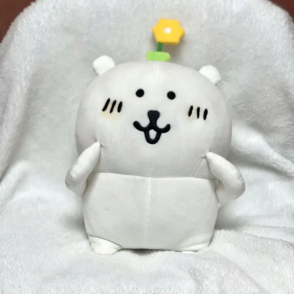 비플랏 농담곰