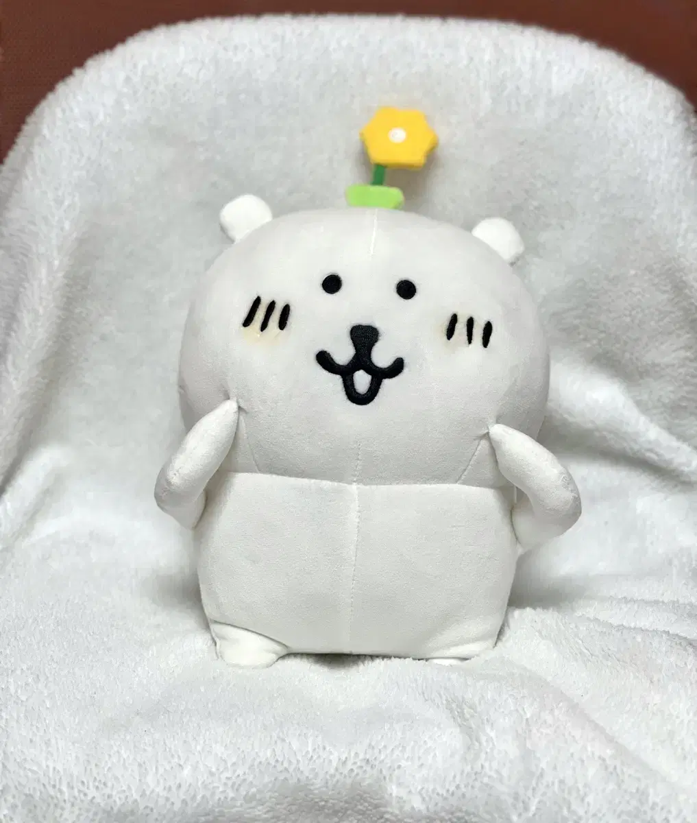 비플랏 농담곰 꽃