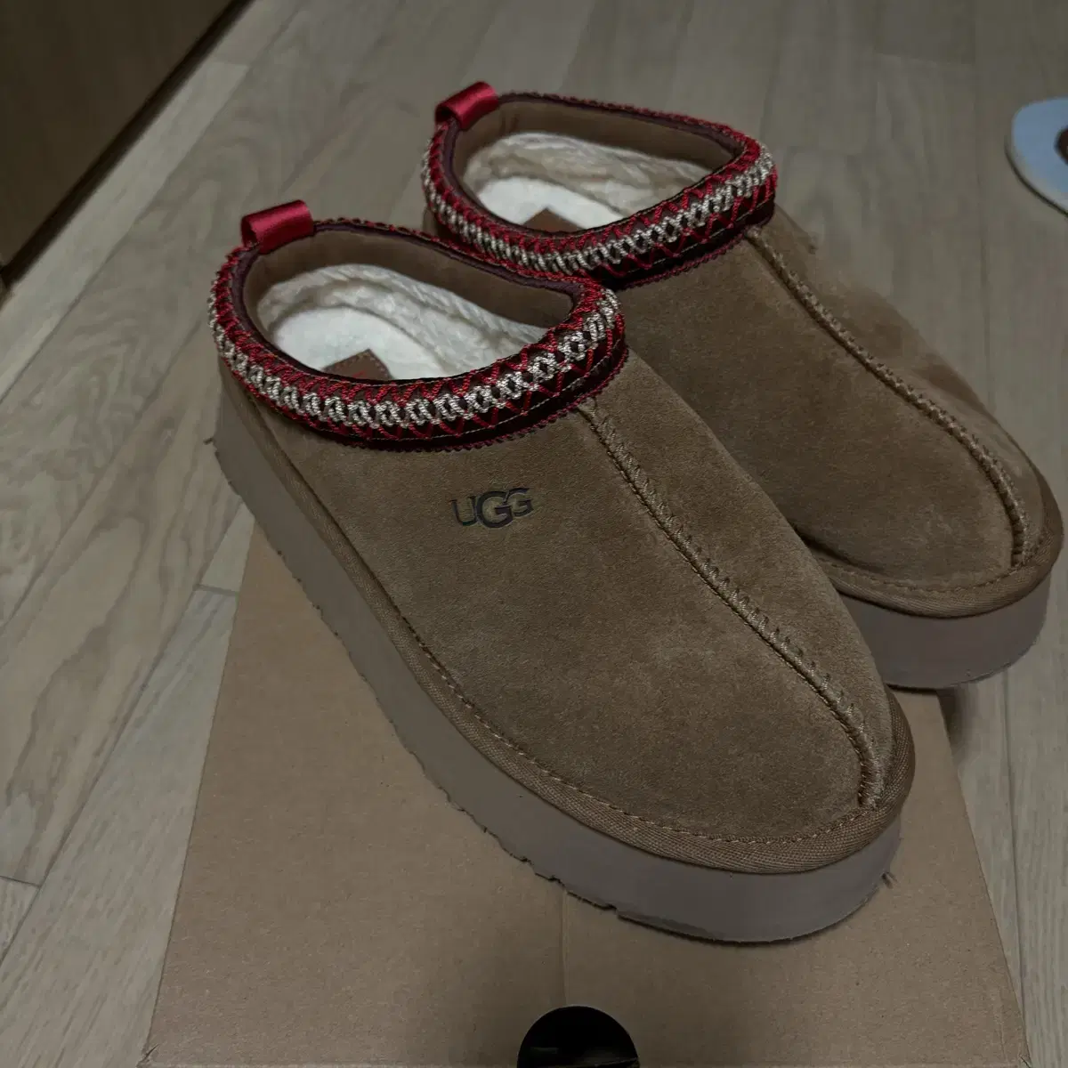 UGG 어그 타즈  Chestnut 240