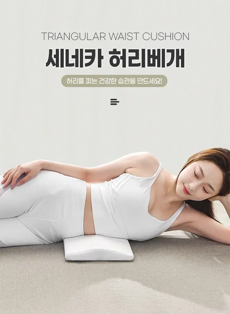 세네카 허리 베개 팝니다