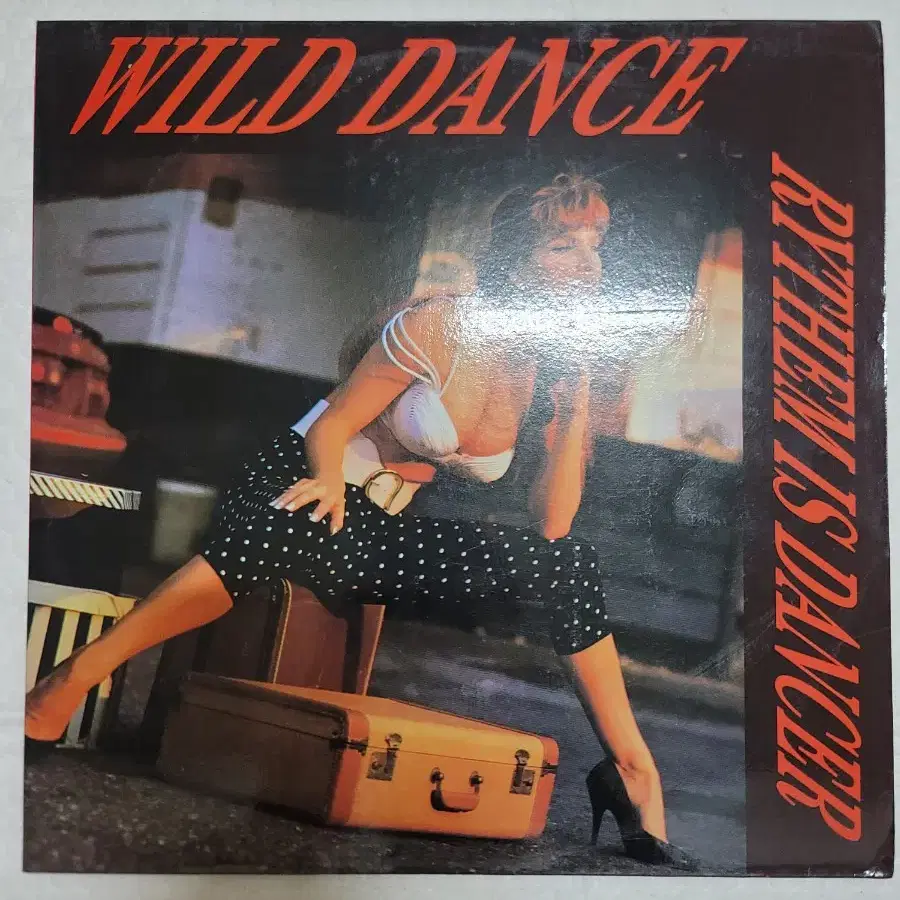 WILD DANCE LP