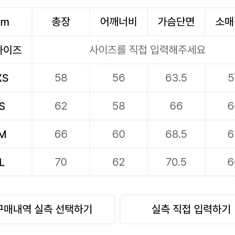 노앙 챔피언  집업 후드 L